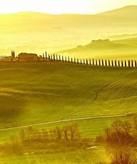 Rolling hills of Tuscany with cypress trees and a farmhouse under a golden sunset. - Olive Oil Times