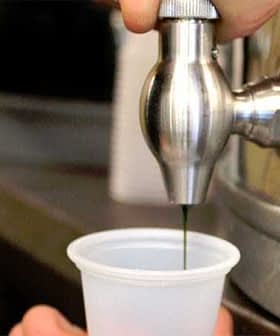 A hand operating a metal oil dispenser to fill a clear plastic cup with dark liquid. - Olive Oil Times