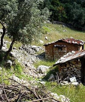 Two stone houses with wooden roofs situated in a grassy area with olive trees and rocks. - Olive Oil Times