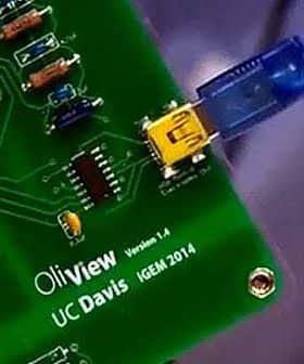 Close-up of an OliView circuit board with a blue Ethernet cable connected. - Olive Oil Times
