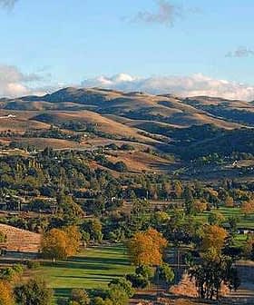 A scenic view of rolling hills in California with trees and a clear sky. - Olive Oil Times