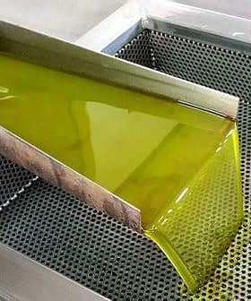 Stream of green olive oil flowing from a stainless steel spout into a perforated container. - Olive Oil Times