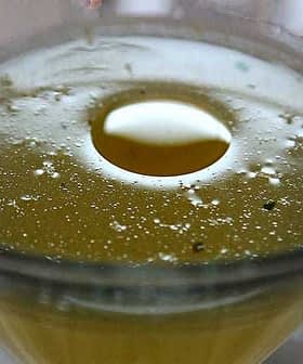 Close-up view of a cocktail in a glass with bubbles and a circular reflection on the surface. - Olive Oil Times
