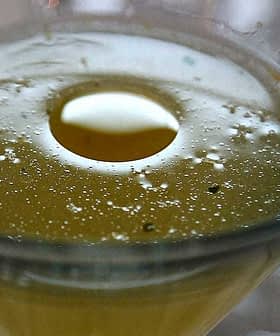 Close-up of a cocktail in a glass with bubbles and a circular garnish. - Olive Oil Times