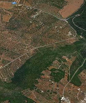Aerial view showing an olive grove and diverse agricultural land with winding roads. - Olive Oil Times