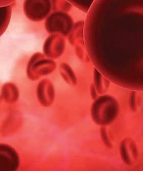 Close-up view of red blood cells in a fluid medium, showing their circular shape and color. - Olive Oil Times