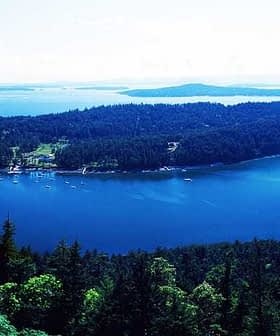 Aerial view of a coastal landscape featuring dense forests and a blue body of water. - Olive Oil Times