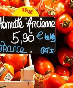 Display of ripe tomatoes with a price tag indicating 5.90 € per kilogram in a market setting. - Olive Oil Times