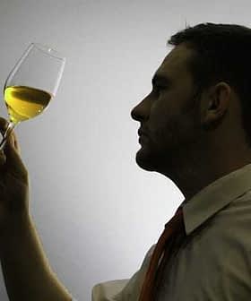 Silhouette of a person holding a glass of yellow liquid, examining it with a thoughtful expression. - Olive Oil Times