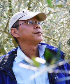 Man wearing a cap and glasses, looking up in an olive grove with olive trees in the background. - Olive Oil Times