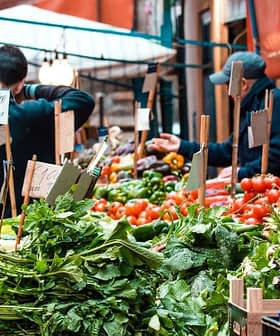 Vegetable market with various fresh produce including greens, tomatoes, and herbs displayed on wooden crates. - Olive Oil Times