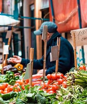 A market stall displaying various fresh vegetables including tomatoes, peppers, and greens. - Olive Oil Times