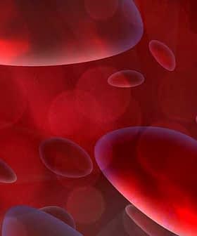 Abstract illustration featuring red blood cells in a gradient red background. - Olive Oil Times