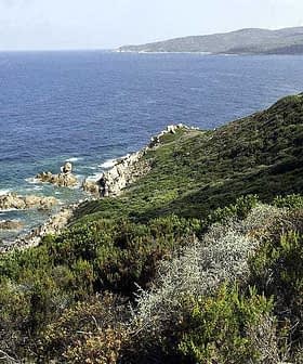Coastal view featuring rocky shoreline and vegetation along the water's edge. - Olive Oil Times
