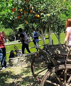 Wooden cart in a garden with orange trees and visitors taking photos nearby. - Olive Oil Times