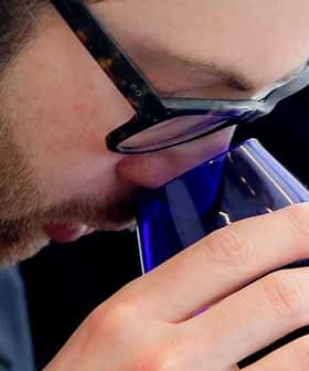 Individual wearing glasses bringing a blue glass close to their face for smelling. - Olive Oil Times
