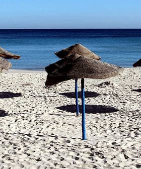 Several straw beach umbrellas with blue poles set up on a sandy beach near the ocean. - Olive Oil Times