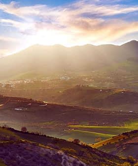 Panoramic view of the Basilicata region in Italy with mountains and valleys under a sunset sky. - Olive Oil Times