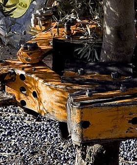 Close-up of an olive harvesting machine with olives on the ground beneath it. - Olive Oil Times