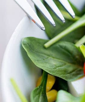 Bowl of fresh salad containing spinach, cherry tomatoes, corn, and feta cheese. - Olive Oil Times