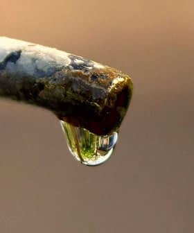 Close-up of a water droplet hanging from the tip of a faucet spout. - Olive Oil Times