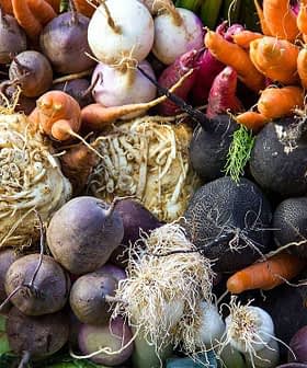 A collection of various root vegetables including radishes, carrots, and turnips arranged together. - Olive Oil Times