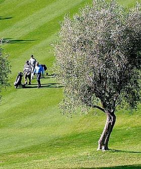 Two golfers walking on a green golf course surrounded by olive trees. - Olive Oil Times