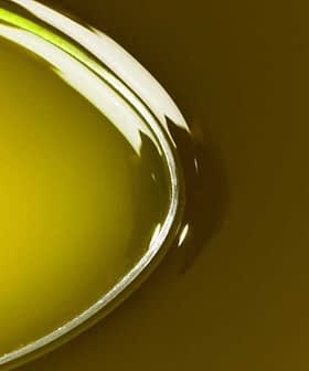 Close-up of olive oil in a spoon with a smooth, glossy surface reflecting light. - Olive Oil Times