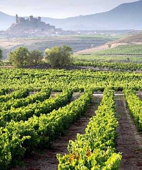Rows of grapevines in a vineyard with a distant castle in the background in the Rioja region. - Olive Oil Times
