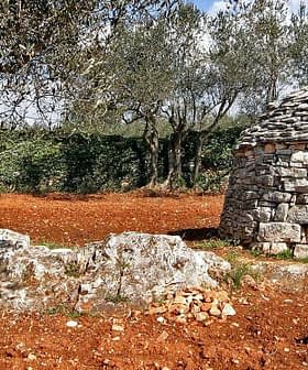 A traditional stone trullo structure with a conical roof located in a rural area of Istria. - Olive Oil Times