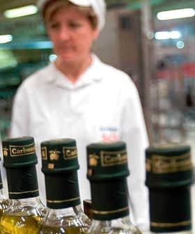Row of olive oil bottles with green caps on a production line in a factory setting. - Olive Oil Times