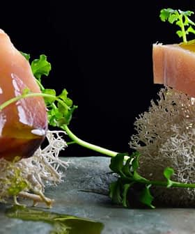 Two pieces of sliced tuna garnished with flowers and herbs on a stone surface. - Olive Oil Times