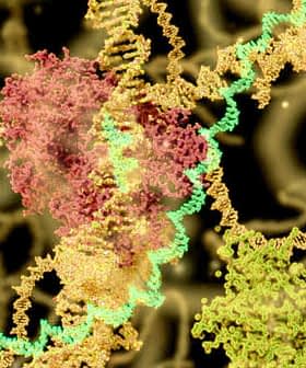 Illustration of molecular structures with colorful representations of DNA and proteins. - Olive Oil Times