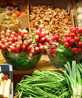 Assorted fresh vegetables including radishes, green beans, and avocados displayed at a market stall. - Olive Oil Times