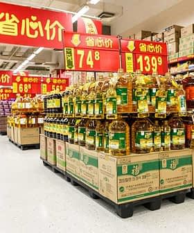 Rows of cooking oil bottles arranged on pallets in a supermarket aisle. - Olive Oil Times
