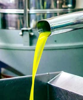 Fresh olive oil being extracted from a machine in a processing facility. - Olive Oil Times