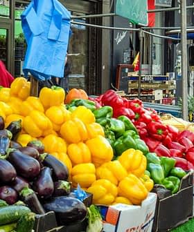 A vibrant display of various vegetables including peppers, zucchini, and tomatoes at a market stall. - Olive Oil Times