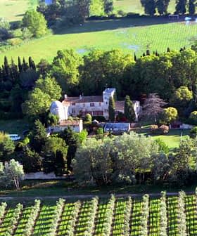 Aerial view of a vineyard with a large estate surrounded by trees and greenery. - Olive Oil Times