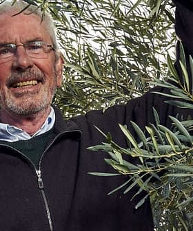Man smiling while harvesting olives from an olive tree, holding branches with olives. - Olive Oil Times