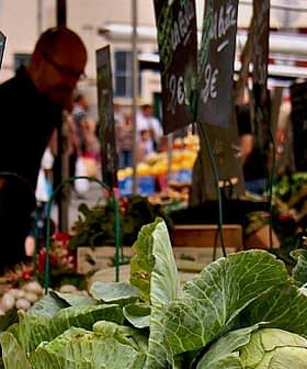 Close-up of fresh green vegetables displayed at a market stall with price tags visible. - Olive Oil Times
