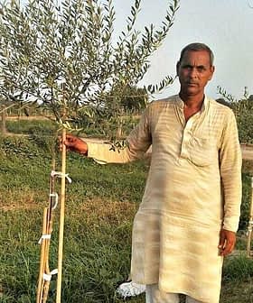 Man in traditional attire standing beside a young olive tree in a field. - Olive Oil Times