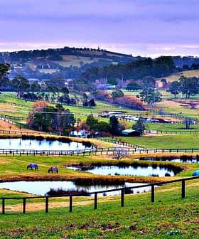 Expansive rural landscape featuring multiple ponds and horses grazing in the fields. - Olive Oil Times