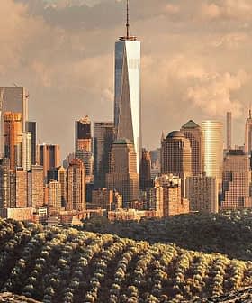 Panoramic view of New York City skyline featuring One World Trade Center and surrounding buildings. - Olive Oil Times