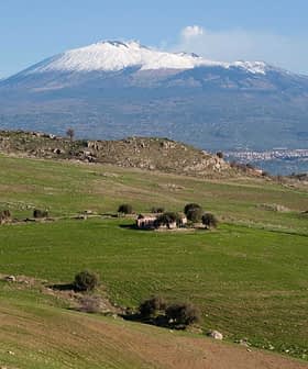 Snow-capped Mount Etna viewed from a green landscape with scattered trees and structures. - Olive Oil Times