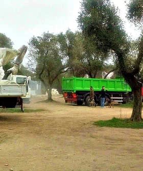 Two trucks parked in an olive grove, one green and one white, with workers nearby. - Olive Oil Times