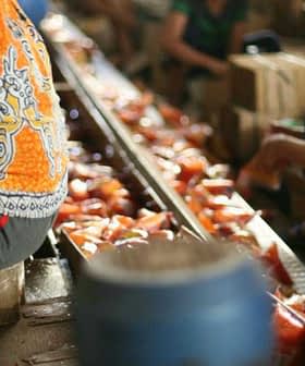 Women sitting on the ground sorting various products in a market setting. - Olive Oil Times