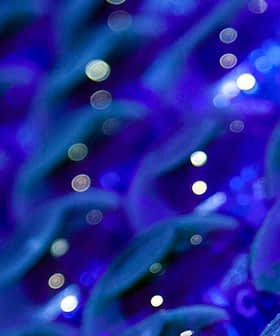 Close-up view of a collection of blue glass bottles arranged in a pattern. - Olive Oil Times