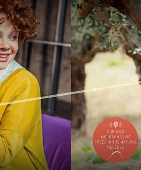 A person with curly hair holding a cup while an olive tree illustration is displayed beside them. - Olive Oil Times