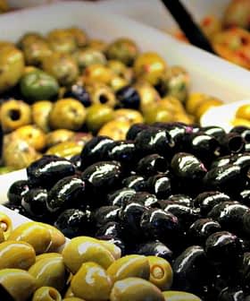 Assorted olives in various colors and sizes displayed in baskets with serving utensils. - Olive Oil Times