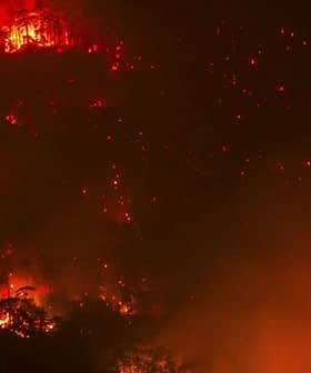 A forest fire burning at night with flames and smoke visible in the trees. - Olive Oil Times